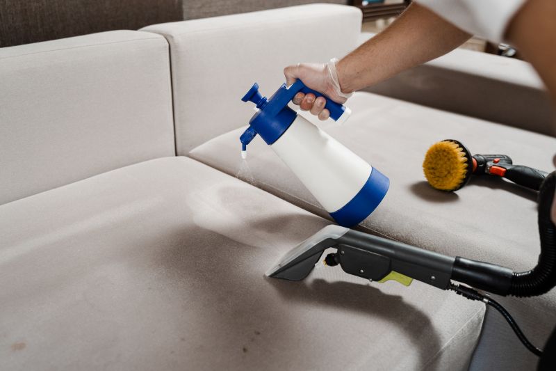 Loveseat Cleaning in Sanford, FL