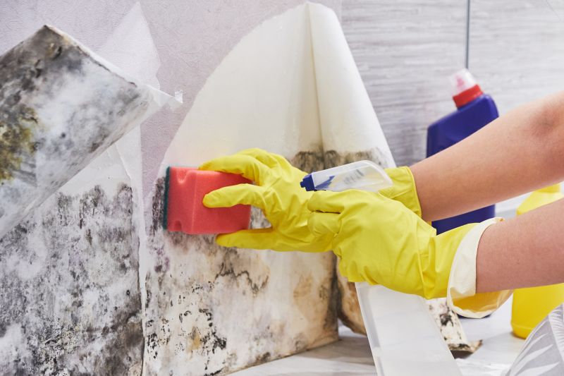 Mold Restoration in West Palm Beach, FL