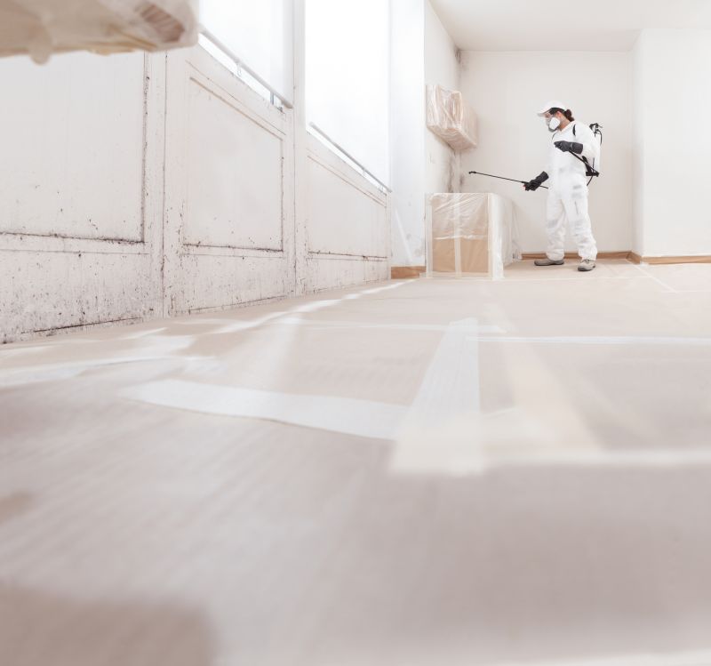 Mold Restoration in Fort Lauderdale, FL