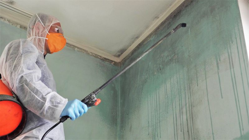 Mold Treatment Service in Fort Worth, TX