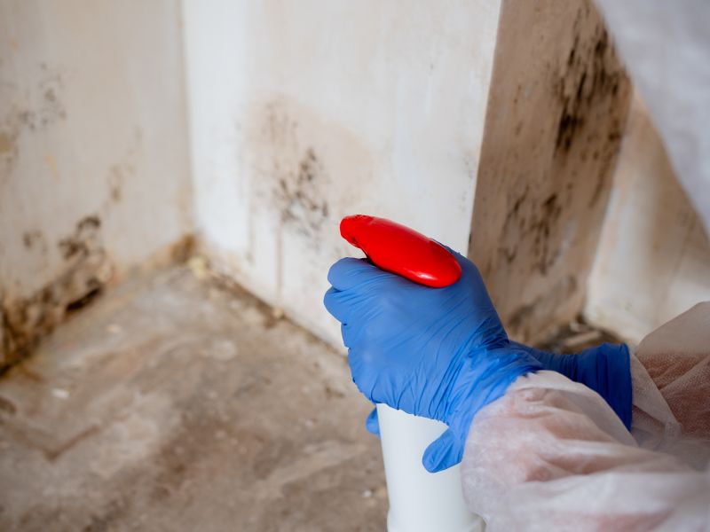 Mold Treatment Service in Fort Lauderdale, FL