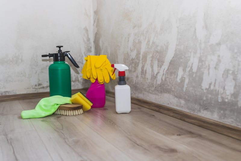 Mold Treatment Service in West Palm Beach, FL