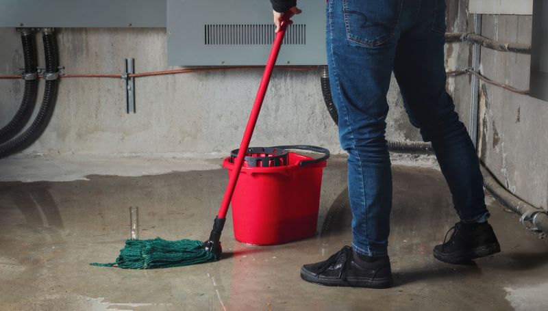 Basement Cleaning Service in Redmond, WA