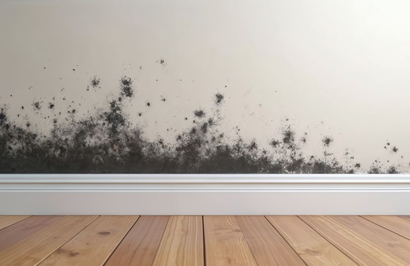 Black Mold Remediation in Boca Raton, FL