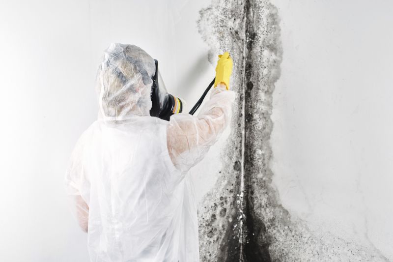 Black Mold Remediation in West Palm Beach, FL