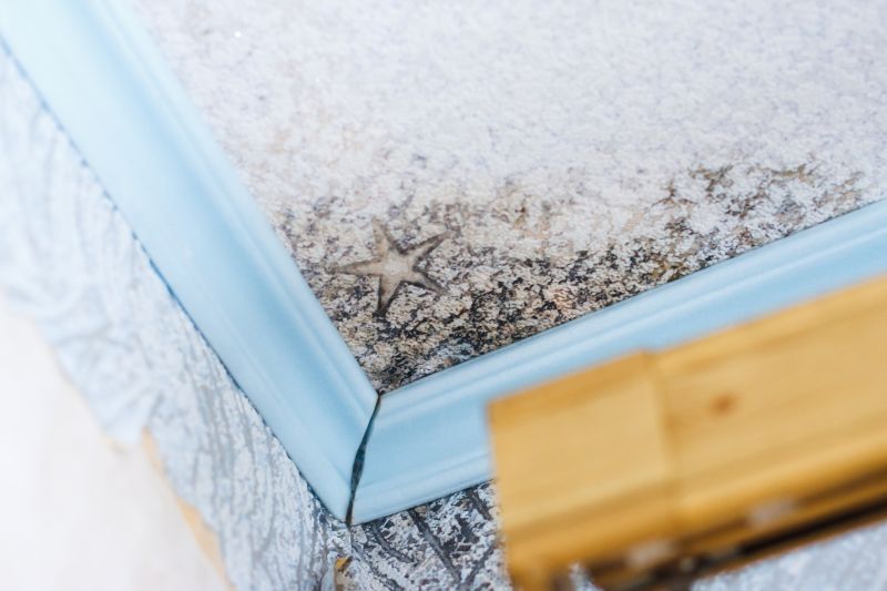 Ceiling Mold Removal in Frisco, TX