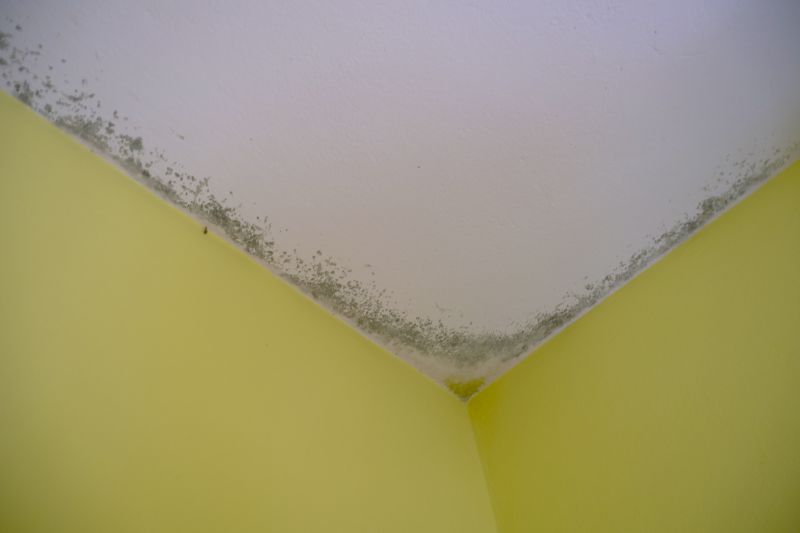 Ceiling Mold Removal in Bergen County, NJ