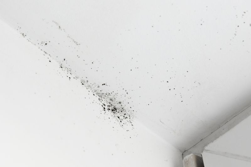 Ceiling Mold Removal in Fort Lauderdale, FL