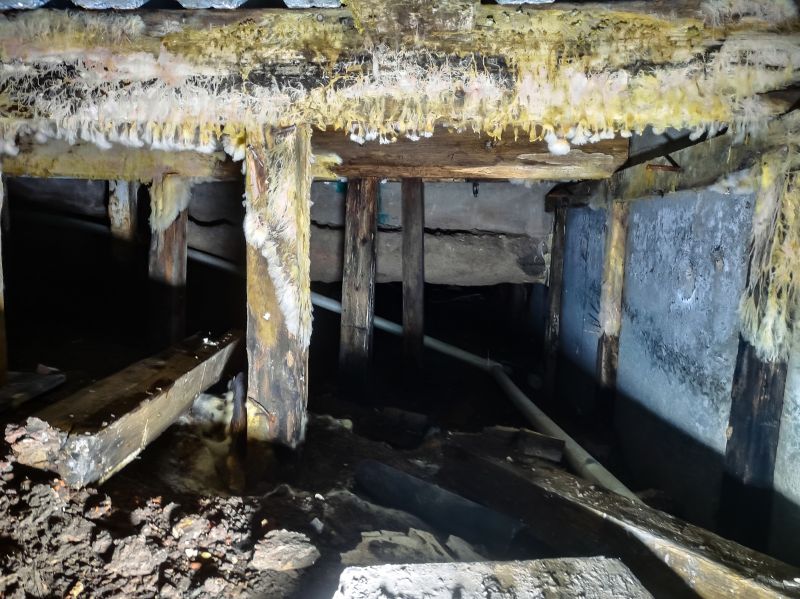 Crawlspace Mold Remediation in Dallas, TX