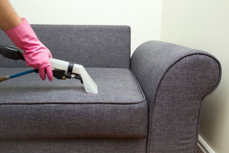 Furniture Cleaning Service in Sanford, FL