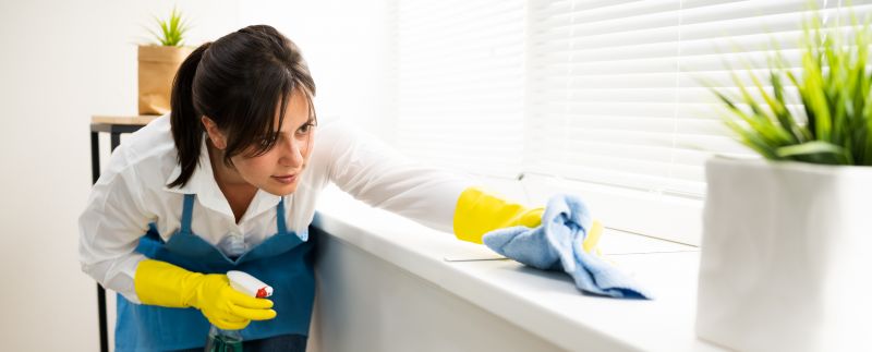Apartment Cleaning Services detail