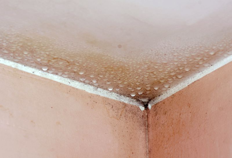 Garage Mold Remediation in Bergen County, NJ