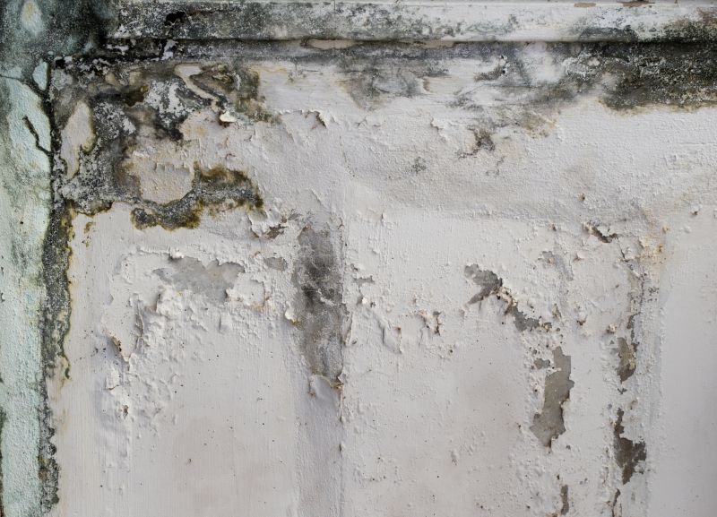 Garage Mold Remediation in Essex County, NJ