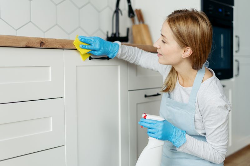 Kitchen Cleaning in Renton, WA