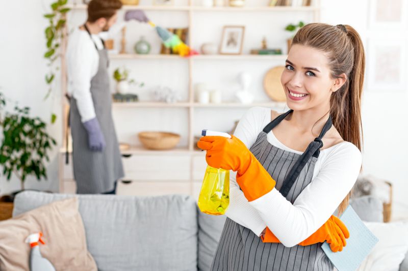 Kitchen Cleaning in Bellevue, WA