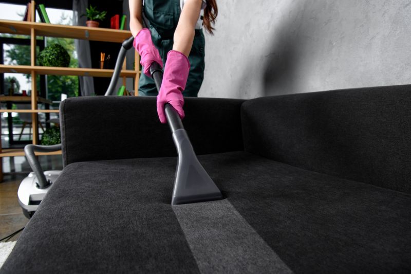 Loveseat Cleaning in Sanford, FL