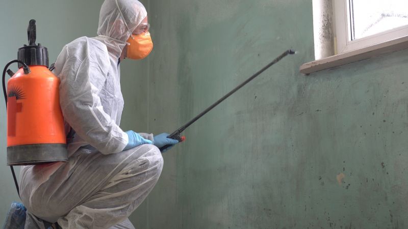 Mold Abatement in Boynton Beach, FL