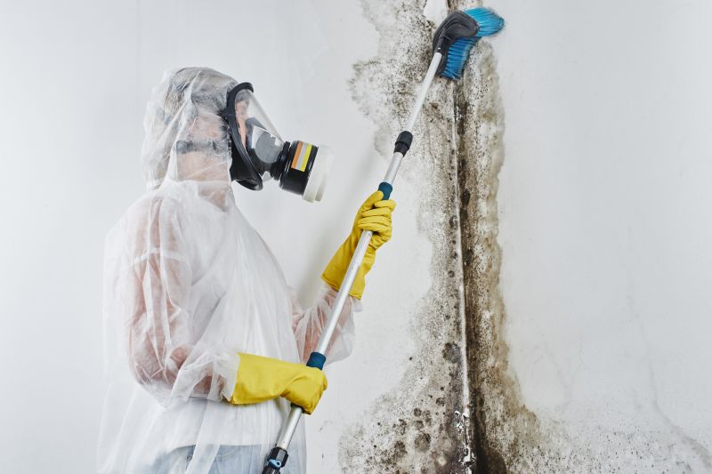 Mold Abatement Service in Boca Raton, FL