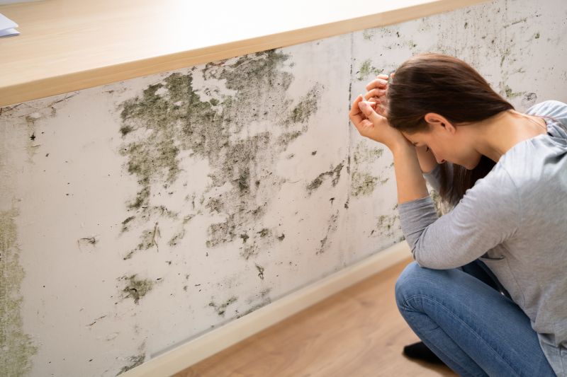 Mold Detection in Fort Worth, TX