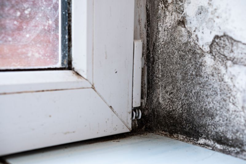 Mold Restoration in Dallas, TX