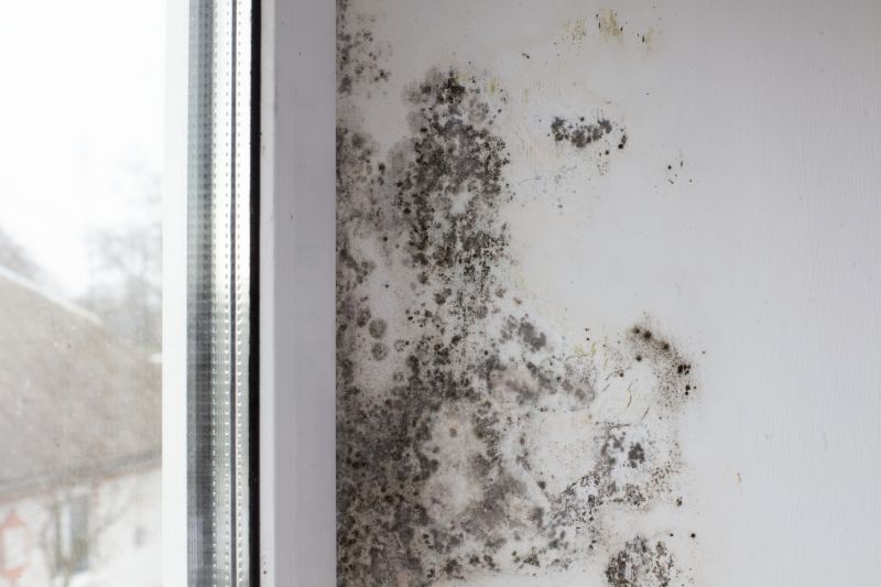 Mold Restoration in West Palm Beach, FL