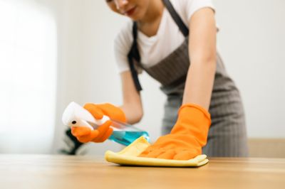 Reo Property Cleaning in Renton, WA
