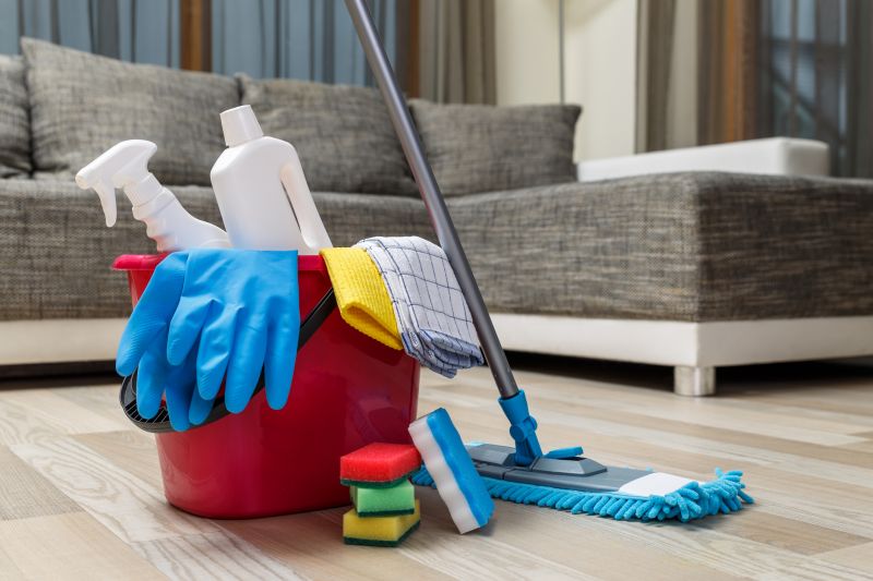 Reo Property Cleaning in Bellevue, WA