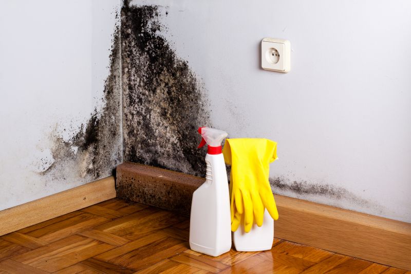 White Mold Mitigation in Dallas, TX