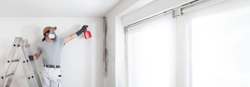 White Mold Mitigation in Broward County, FL
